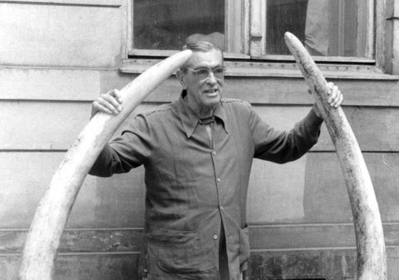 Széchenyi Zsigmond két hatalmas elefántagyarral (1964)