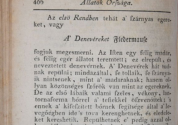 Georg Christian Raff: Természetihistoria a' gyermekeknek. Számmer Mihály, Veszprém, 1799.