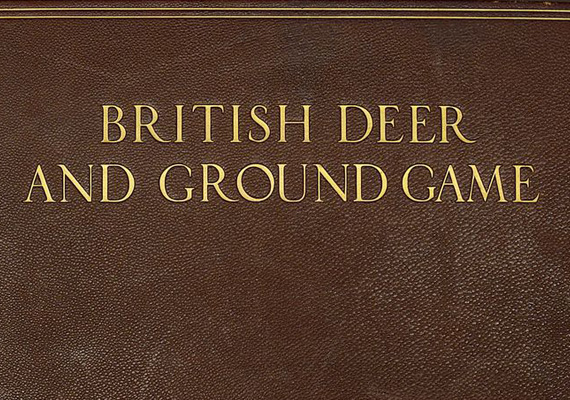 J. G. Millais et al.: The gun at home and abroad. [2. vol.], British deer and ground game, dogs, guns and rifles. The London and Counties Pr., London,   [1913].